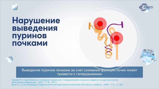 EGIS Квиз смотреть онлайн