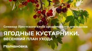 2 сезон 19 семинар. Ягодные кустарники. Весенний план ухода