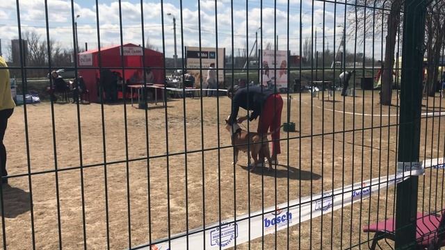 Ю А МАЙ САНШАЙН ИЗ ДОМА ЛАНКАСТЕР смотреть онлайн