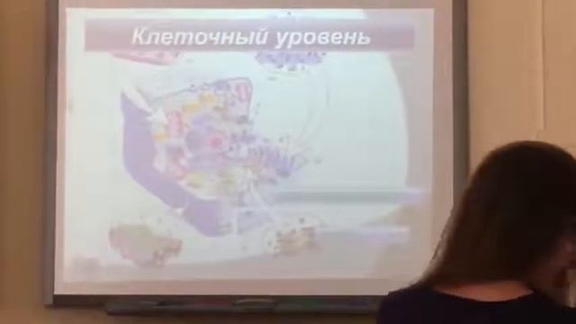 Наша училка истеричка! смотреть онлайн