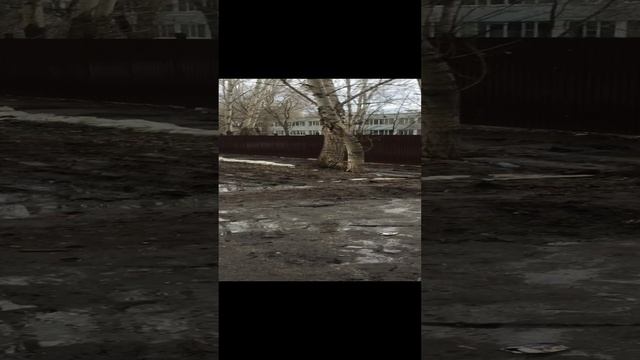 Болотная гать у школы 45 смотреть онлайн