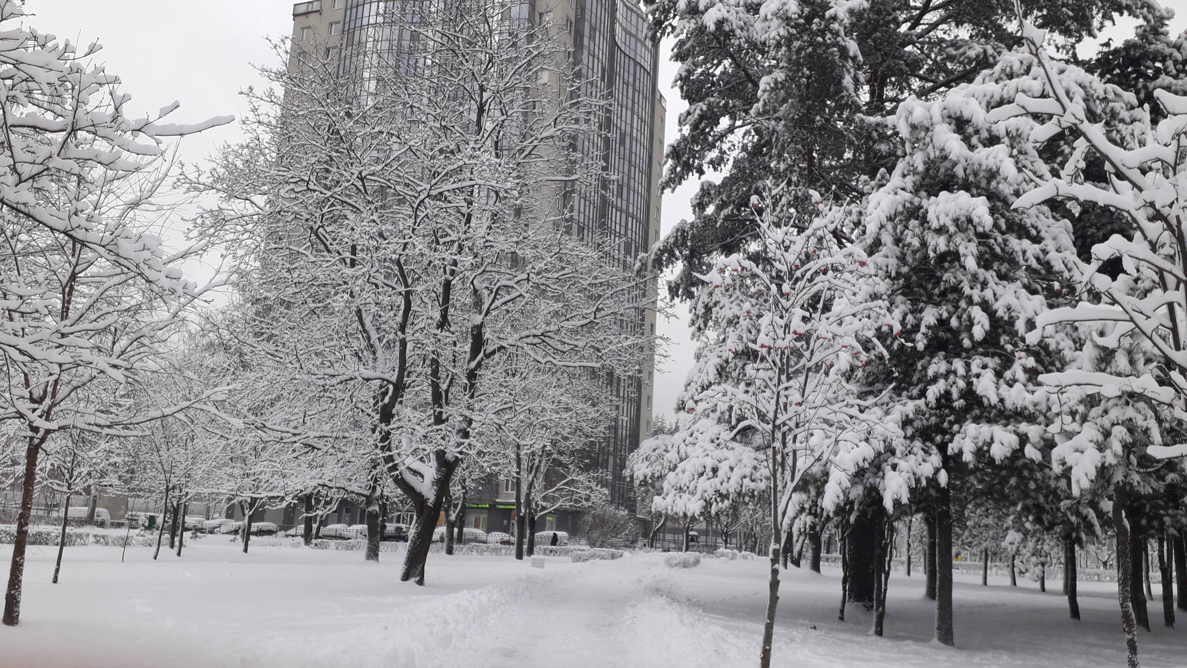 Санкт-Петербург засыпало снегом. За ночь намело много снега -не пройти, не проехать. смотреть онлайн