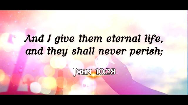 Daily God's Word - 23 February 2024 смотреть онлайн