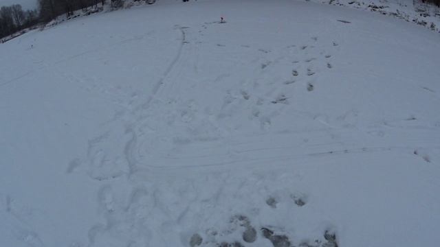 Голодная щука в лесном озере.