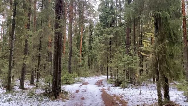 ТЫ МОЯ ЖЕНА И ОБЯЗАНА ПОГАСИТЬ МОИ ДОЛГИ!... | Истории из жизни. смотреть онлайн