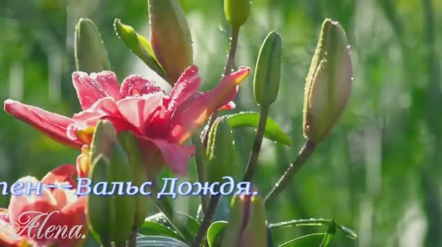 ---Шопен---Вальс Дождя---