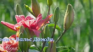 ---Шопен---Вальс Дождя---