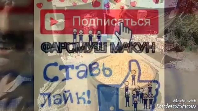 Оши як дар якки водии вахё смотреть онлайн