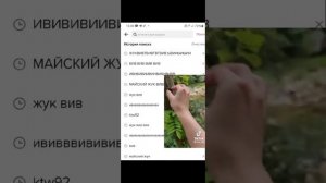 ЖУК ВИВ ВИВ ВИВ