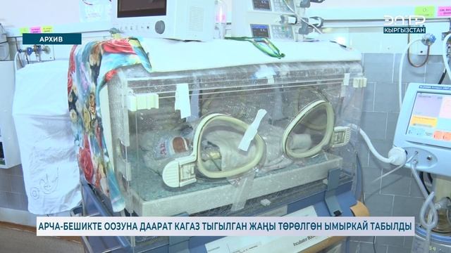 АРЧА-БЕШИКТЕ ООЗУНА ДААРАТ КАГАЗ ТЫГЫЛГАН ЖАҢЫ ТӨРӨЛГӨН ЫМЫРКАЙ ТАБЫЛДЫ смотреть онлайн