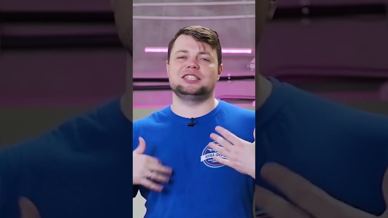 Как быстро растет карп? смотреть онлайн