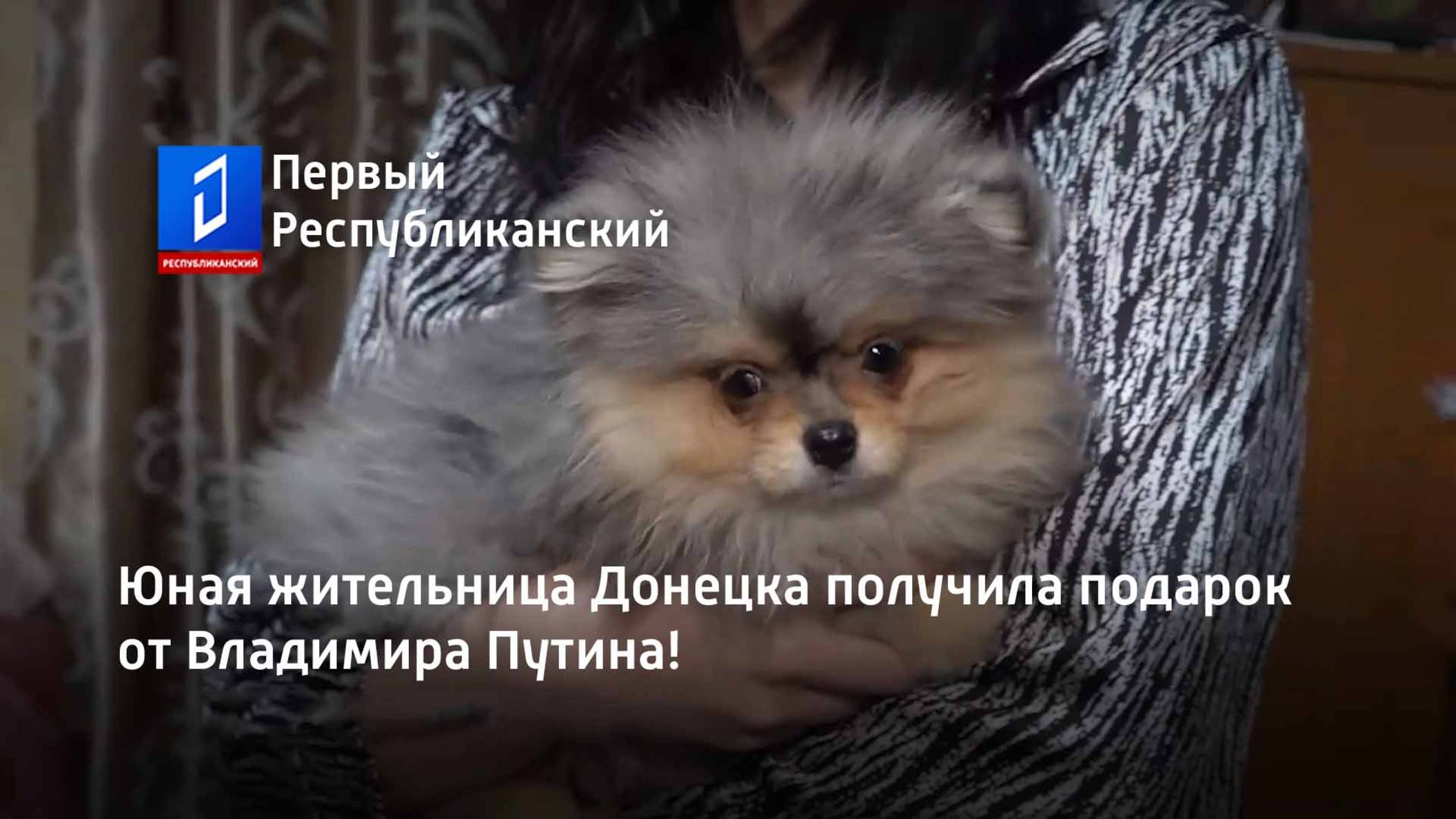 Юная жительница Донецка получила подарок от Владимира Путина! смотреть онлайн