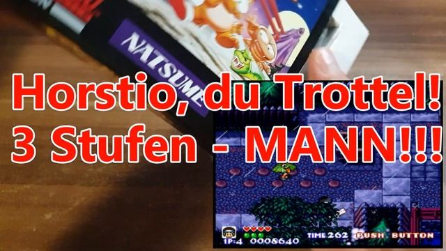 Pocky & Rocky - SNES - 1993 - Horstios 10-Cent-Reviews смотреть онлайн