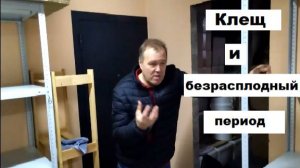 Степаненко о клеще Варроа и безрасплодном периоде