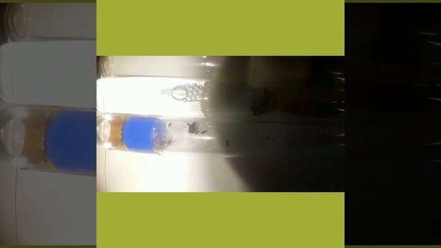 Сравнение смотреть онлайн