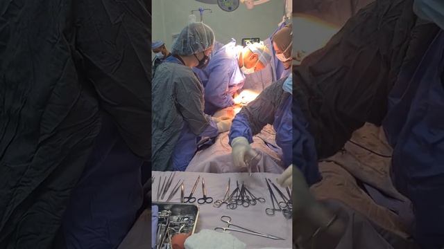 delivery of the placenta смотреть онлайн