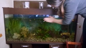 ОБСЛУЖИВАНИЕ АКВАРИУМА НА 300 литров, чтобы вода всегда была кристально-чистой!