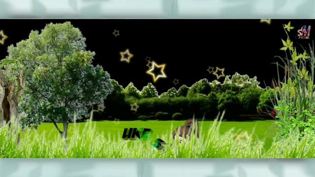 Aasa Mena Amre Bhorsa Mena  Amre //New Santali Status Video 🌿// S.Murmu Official 🌿