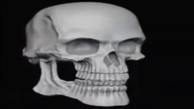 The skull turns and smiles to cool music смотреть онлайн