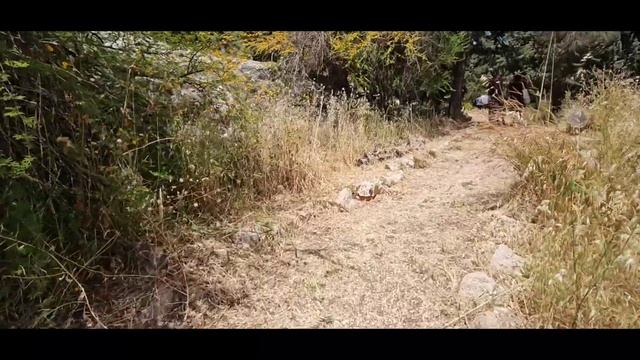 Botanical Garden fanna Part 1👍 смотреть онлайн