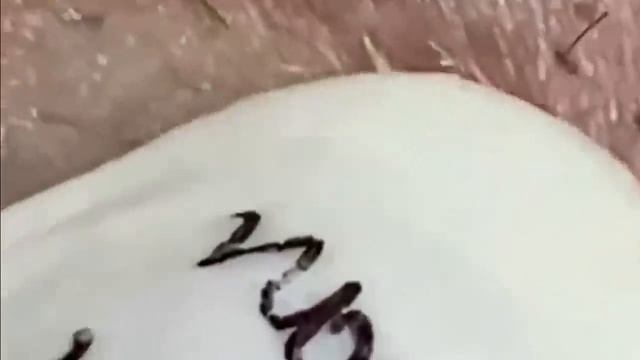 كل يوم هو حياة جديدة جيدة #𝟒𝟎𝟐 смотреть онлайн