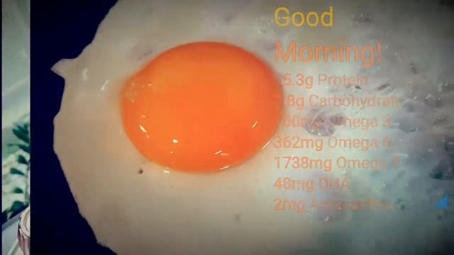 Sunny Side Up Pilot Project смотреть онлайн