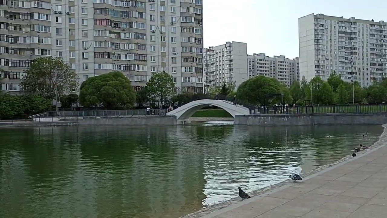 С Импланта на Имплант. Слово против общин.