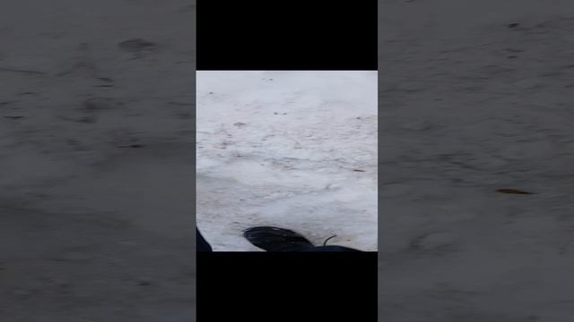 не кидайте такие снежки друзей а то останетесь без друзей