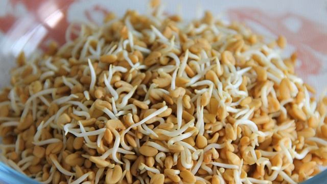 Сахарный диабет, Глюкоза крови, Пажитник смотреть онлайн