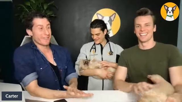 CBD for Pain! смотреть онлайн