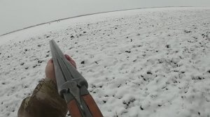 ЗАГОННАЯ ОХОТА НА КОСУЛЮ ОЧЕНЬ ТРУДОВОЙ ДЕНЬ#hunting #охота #рекомендации