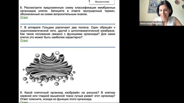практика цитология и транскрипция смотреть онлайн