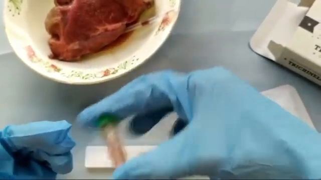 Диагностический экспресс тест на трихинеллёз у кабана LTFLOW Trichinella смотреть онлайн
