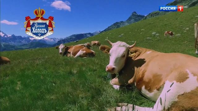 Реклама Русский Холод Алтайская буренка смотреть онлайн