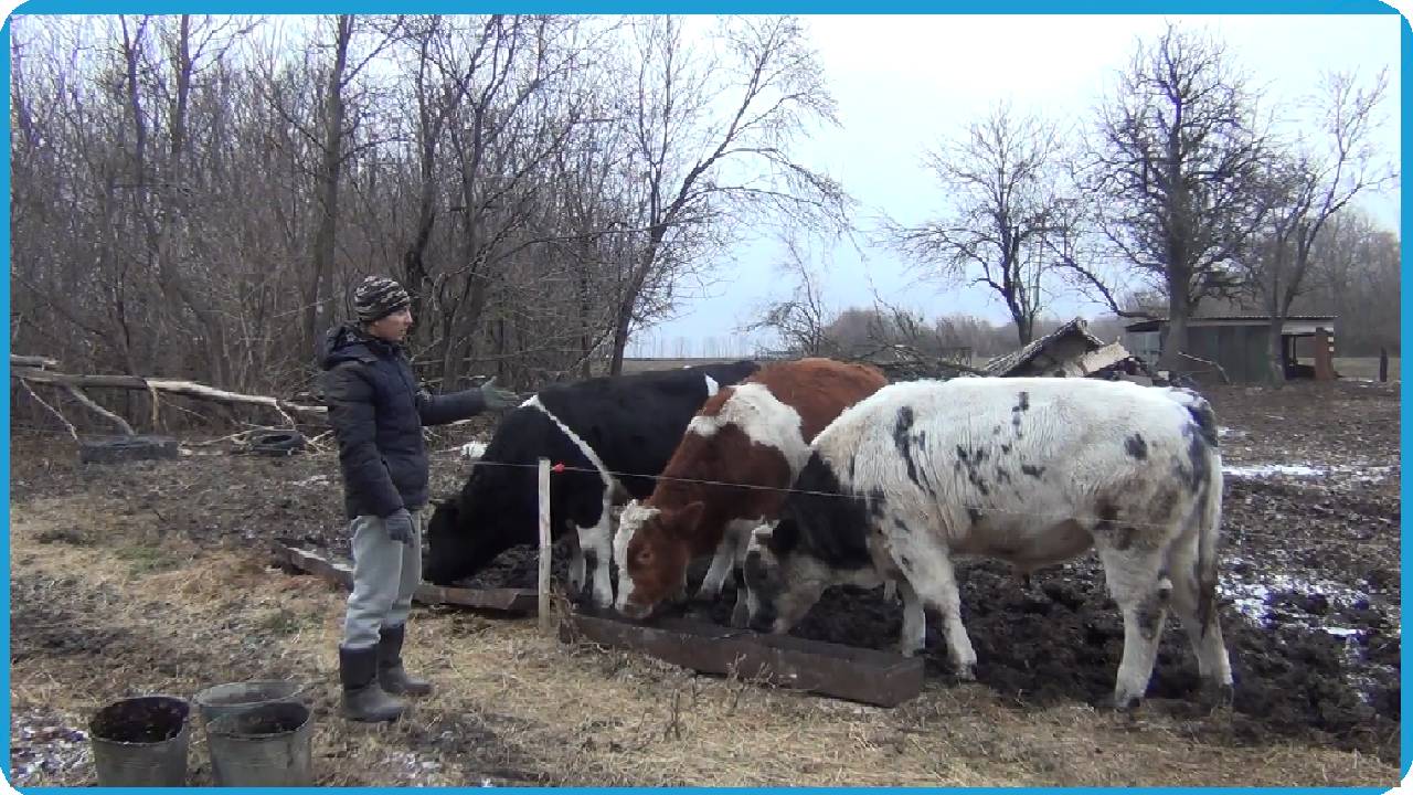 ДАВНО НУЖНО БЫЛО ЭТО СДЕЛАТЬ НО ВСЁ РУКИ НЕ ДОХОДИЛИ, ЖИЗНЬ В КУРСКОЙ ДЕРЕВНЕ смотреть онлайн