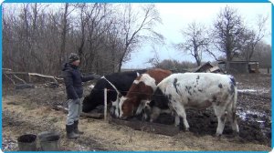 ДАВНО НУЖНО БЫЛО ЭТО СДЕЛАТЬ НО ВСЁ РУКИ НЕ ДОХОДИЛИ, ЖИЗНЬ В КУРСКОЙ ДЕРЕВНЕ