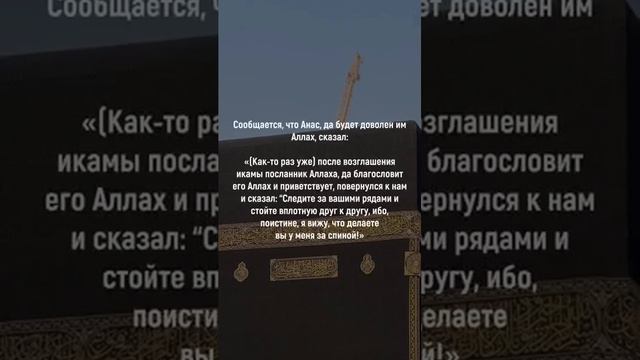 Выравнивайте ряды перед намазом ! смотреть онлайн