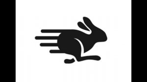 RUN RABBIT RUN