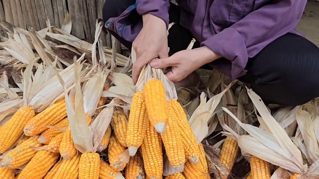 Singlemother Saves Police Officer In Trouble,police Officer's Sister Misunderstands What Will Happe