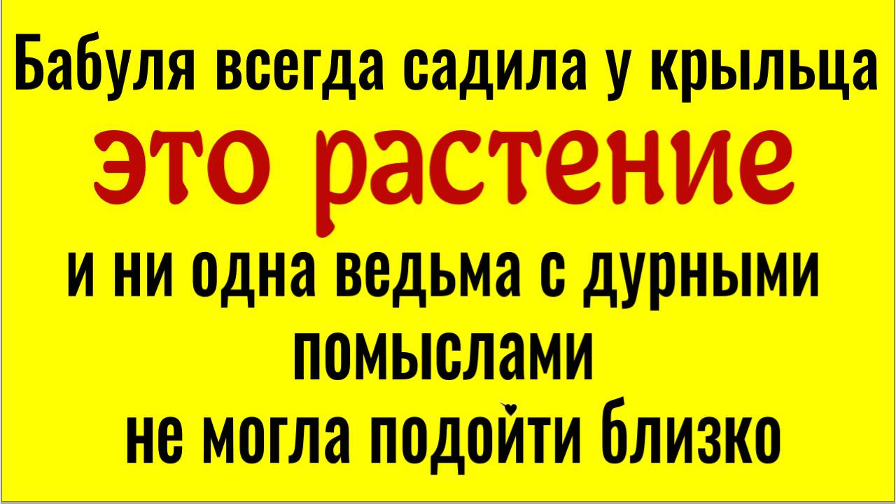 Посадите возле дома это растение и ни одна ведьма не сможет вам навредить смотреть онлайн
