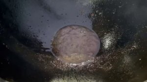 ГОВЯЖЬИ РЕБРА С КАРТОШКОЙ В КАЗАНЕ НА КОСТРЕ