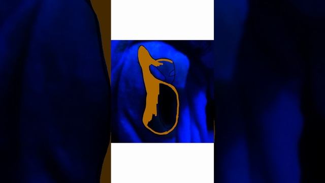 я в нём увидела монстра