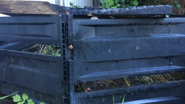 Иж 60 винторез. Охота на улиток смотреть онлайн