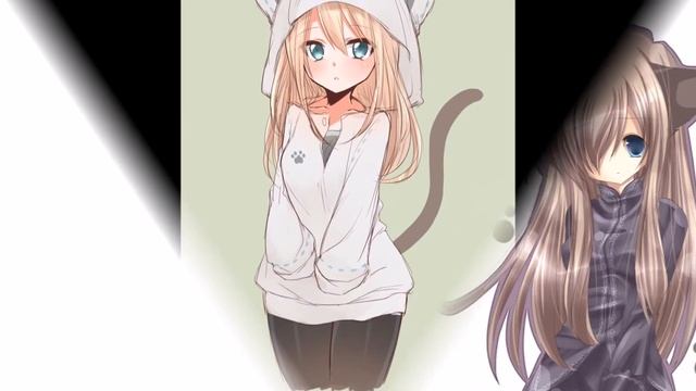 извенитесь перед лида кот смотреть онлайн