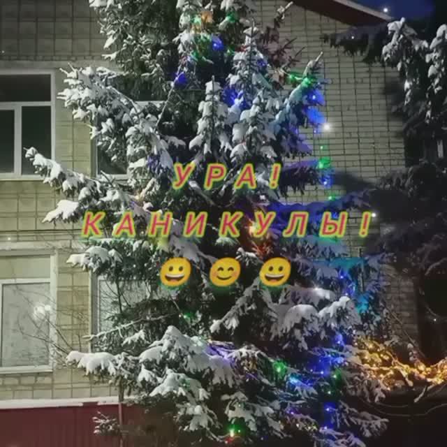 Зимний лес!
