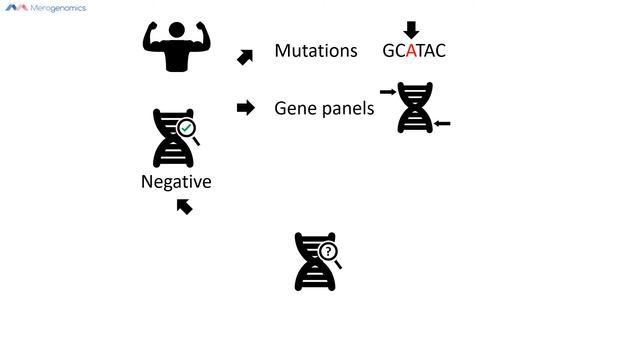 Possible DNA test results (for all DNA tests types including full genome) | Merogenomics смотреть онлайн