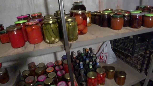 Уборка начинается 😏Ларь наполняется😋Заготовок много не бывает 😍Жизнь в станице на Кубани🏡 смотреть онлайн