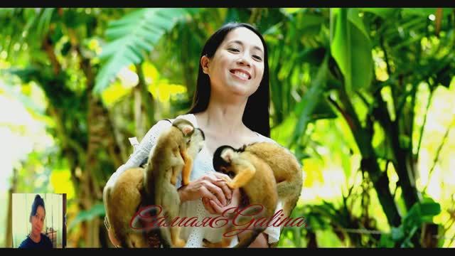 Frank Duval-Greatest Hits(2012) смотреть онлайн