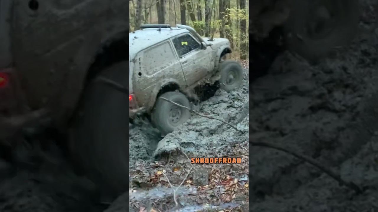 ТурбоЗверя вывели на прогулку в лес Гости из Кабардино-Балкарии оценили его проезды, и сами удивили смотреть онлайн