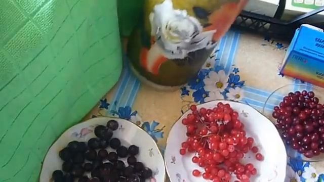 Витамины из морозилки- долой авитаминоз! ВПЛ. смотреть онлайн